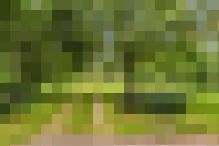 Streekweg 2 Onstwedde thumbnail 67