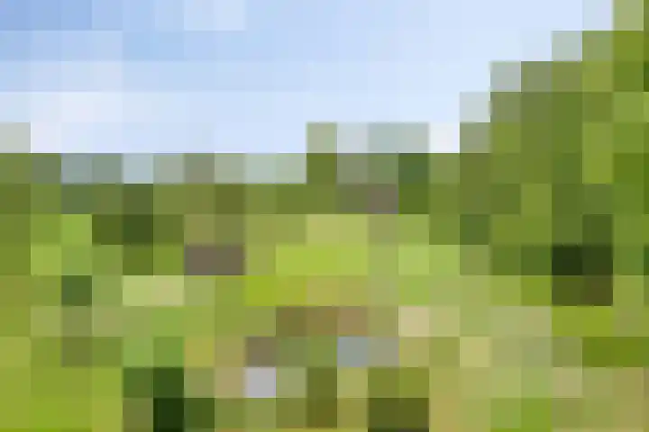 Streekweg 2 Onstwedde thumbnail 7