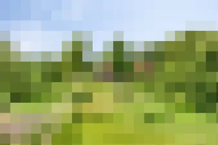 Streekweg 2 Onstwedde thumbnail 8