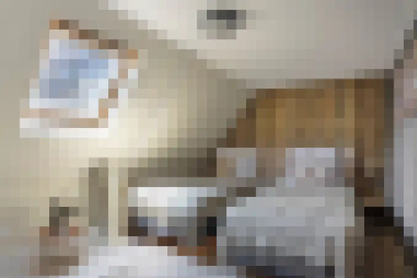 Streekweg 200 Hoogkarspel thumbnail 47