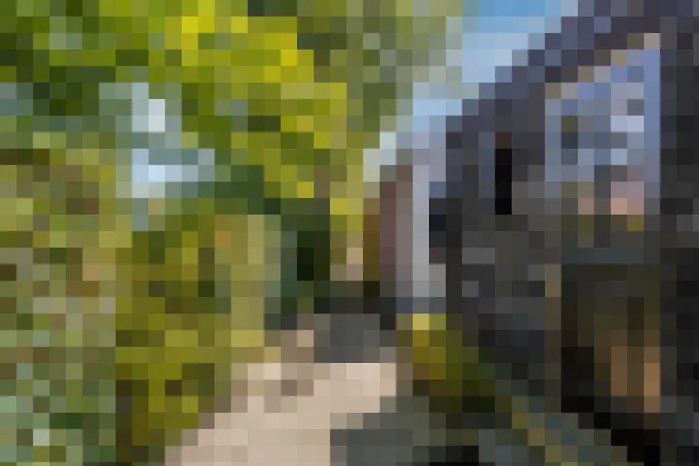Streekweg 200 Hoogkarspel thumbnail 57