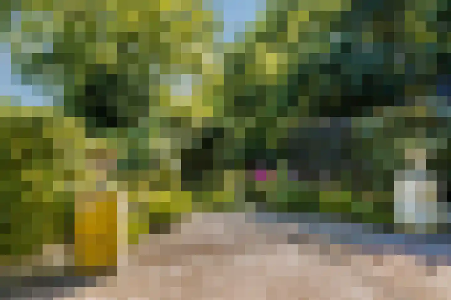 Streekweg 200 Hoogkarspel thumbnail 70