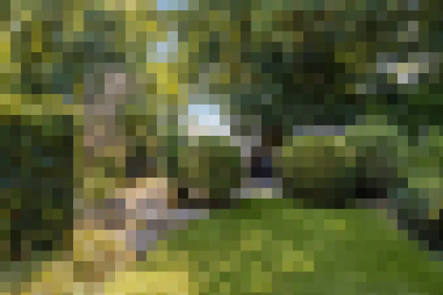 Streekweg 200 Hoogkarspel thumbnail 74