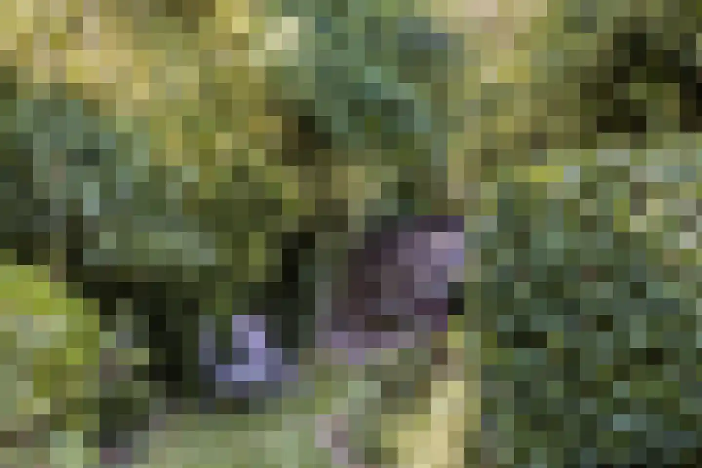 Streekweg 200 Hoogkarspel thumbnail 75