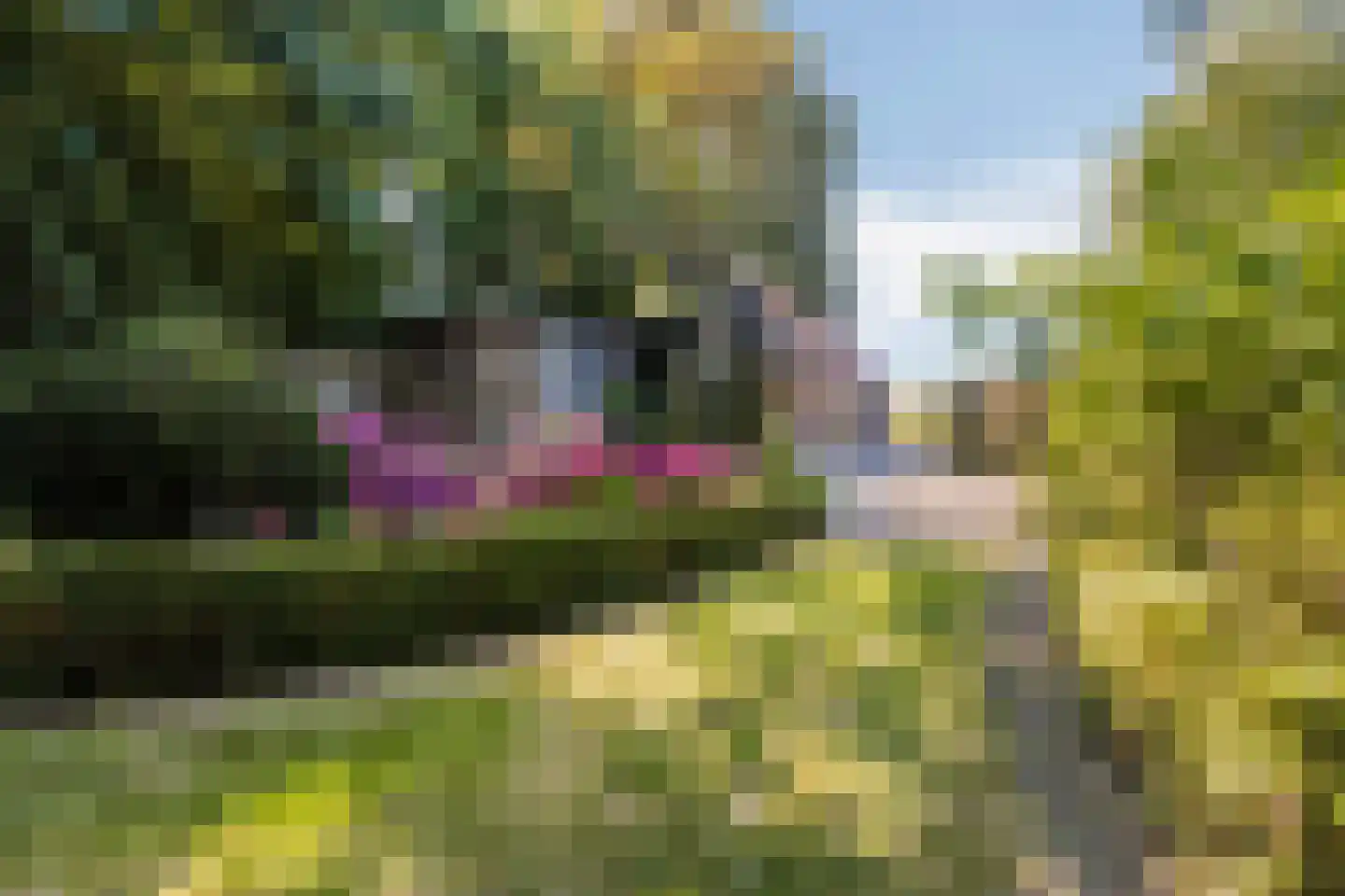 Streekweg 200 Hoogkarspel thumbnail 76