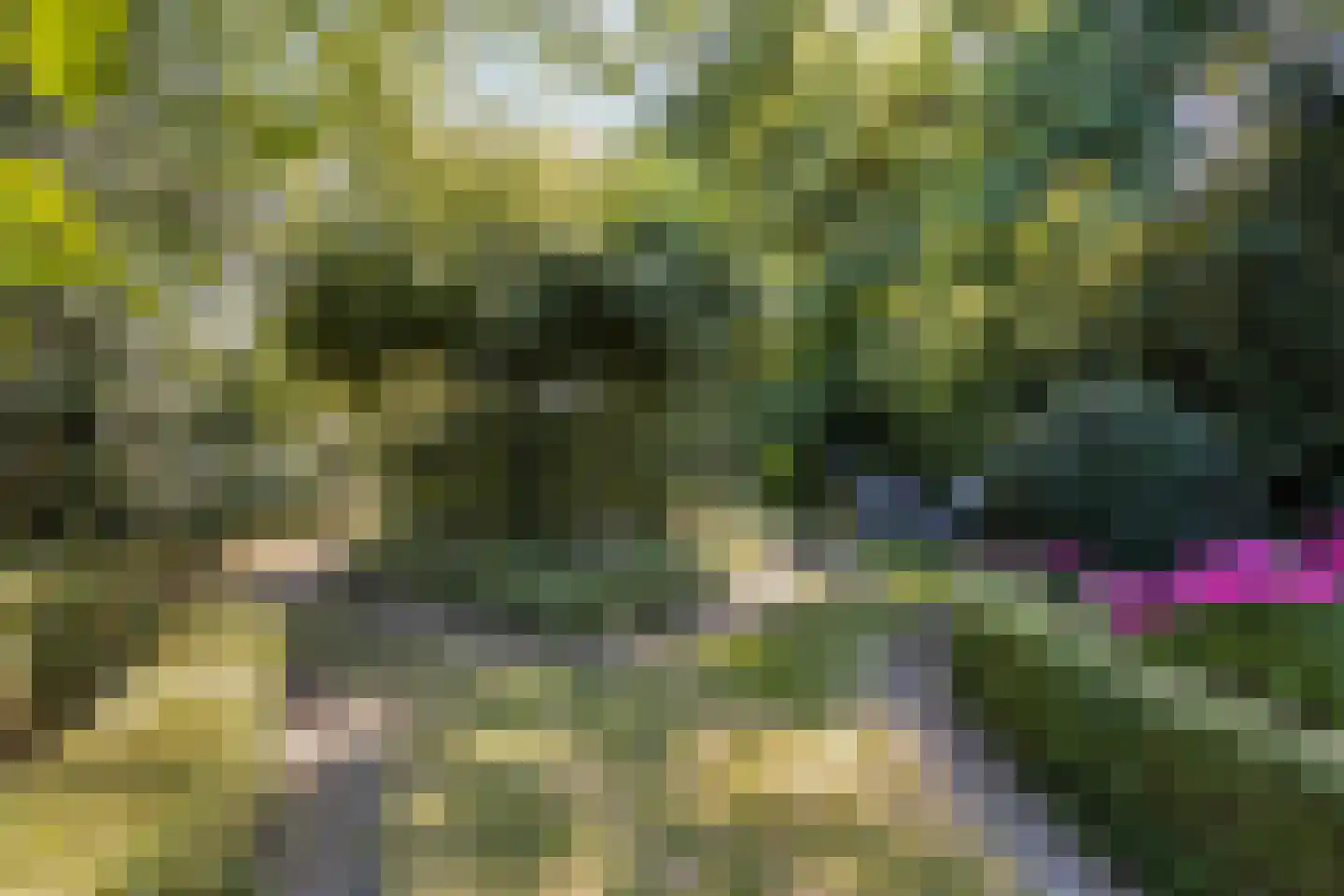 Streekweg 200 Hoogkarspel thumbnail 77