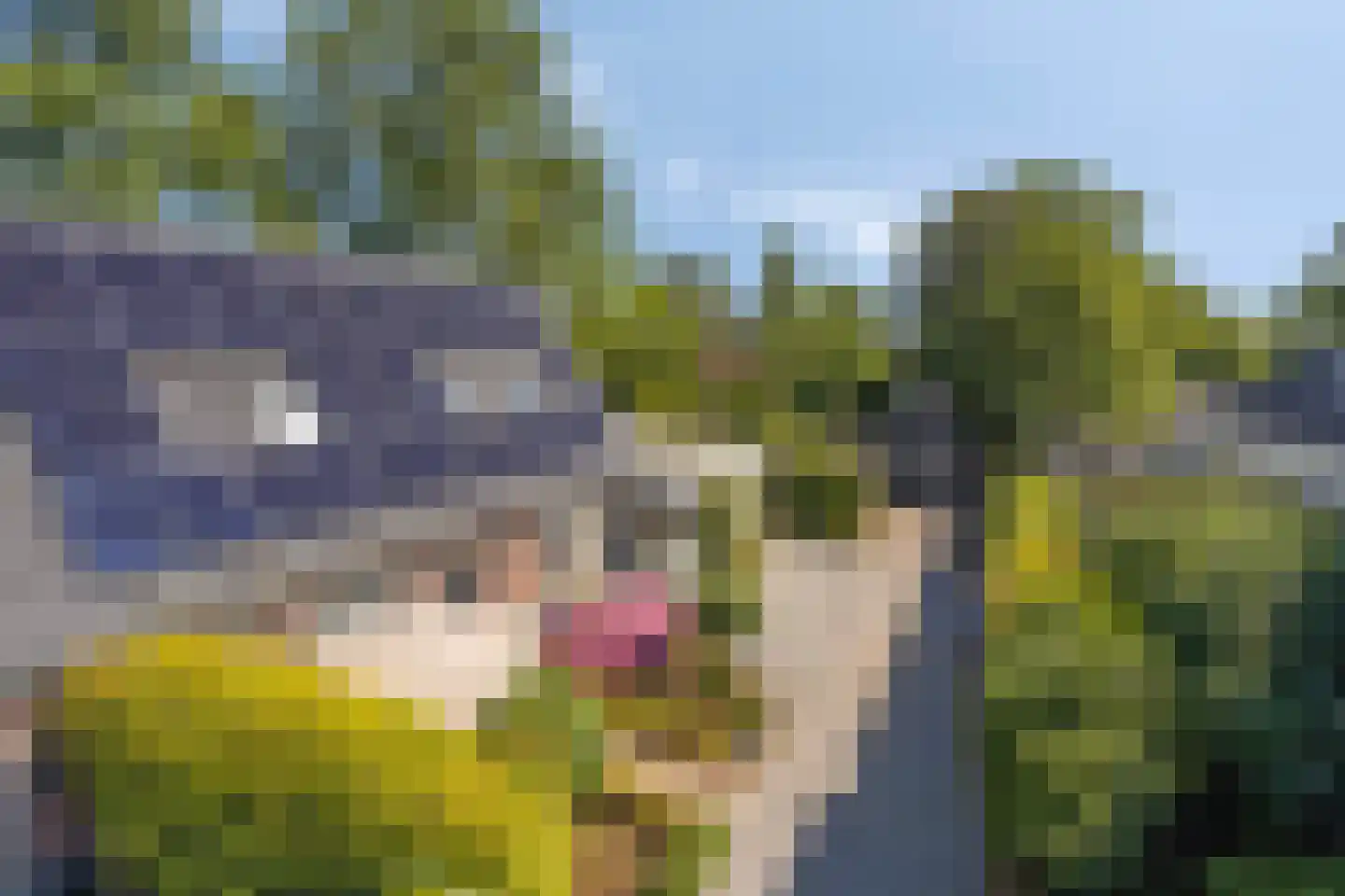 Streekweg 200 Hoogkarspel thumbnail 80