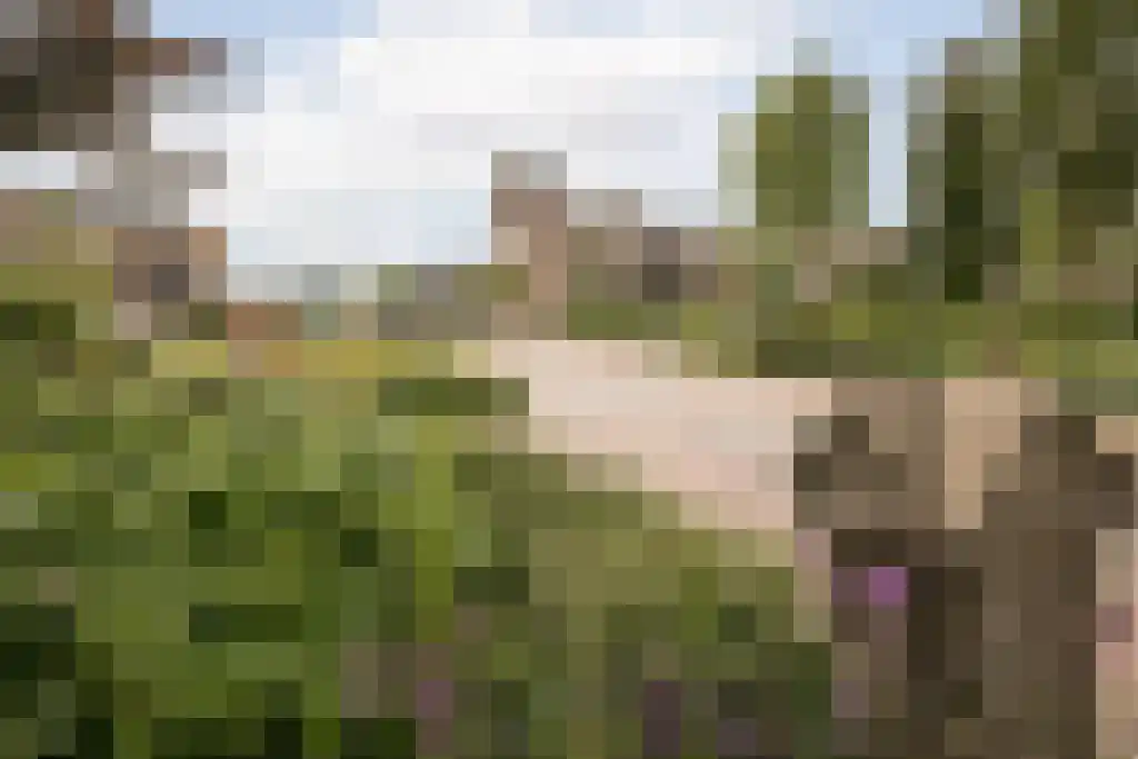 Streekweg 228 Hoogkarspel thumbnail 45