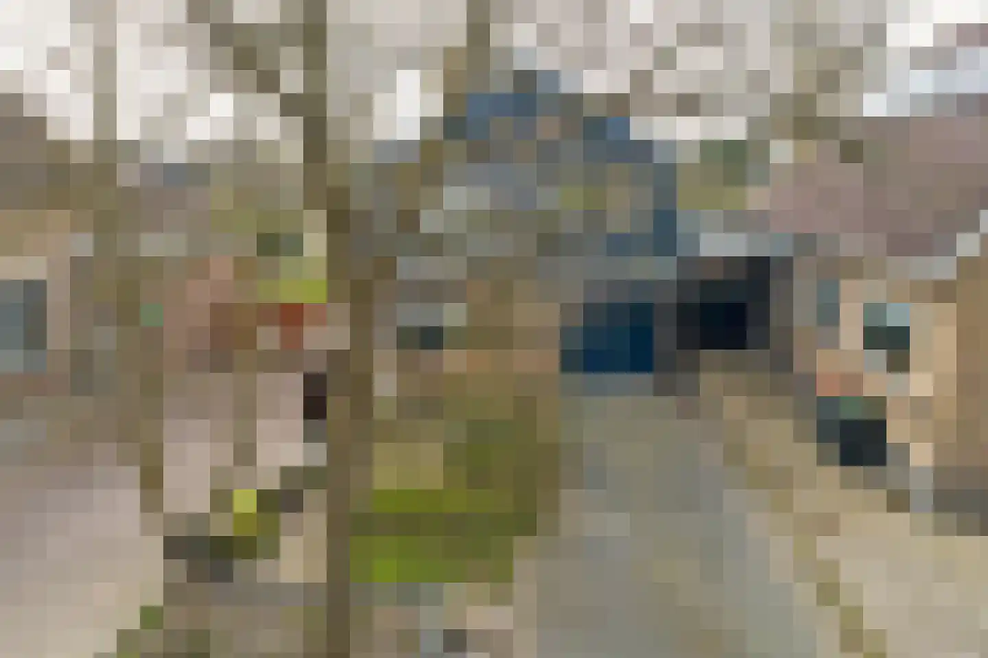 Streekweg 290 Hoogkarspel thumbnail 31