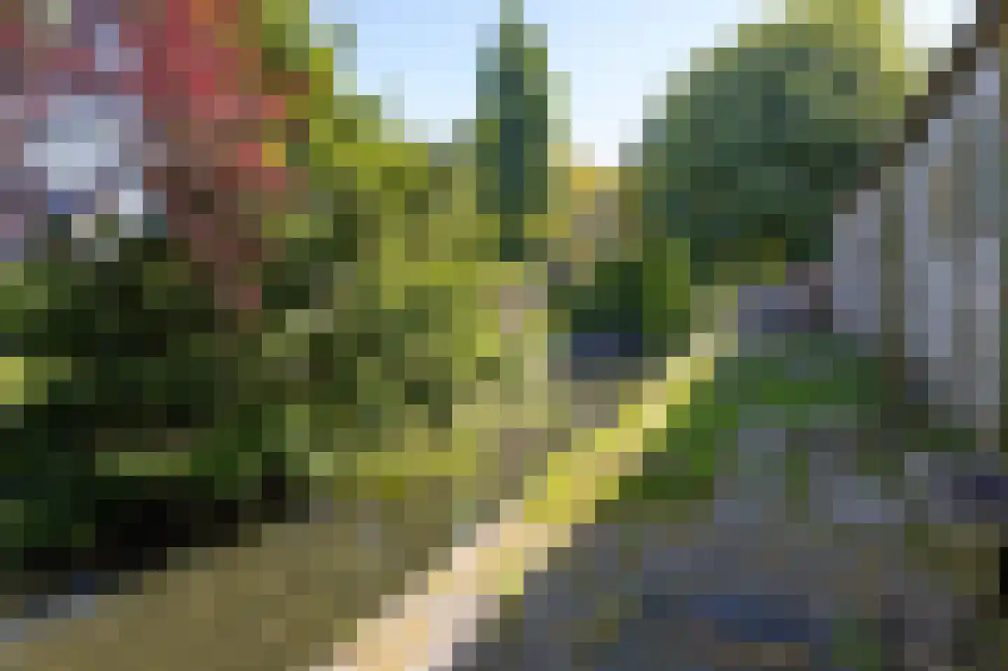 Streekweg 317 Hoogkarspel thumbnail 42