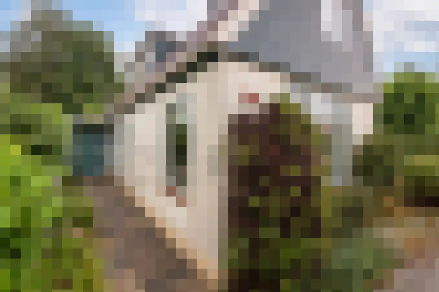 Streekweg 339 Hoogkarspel thumbnail 6