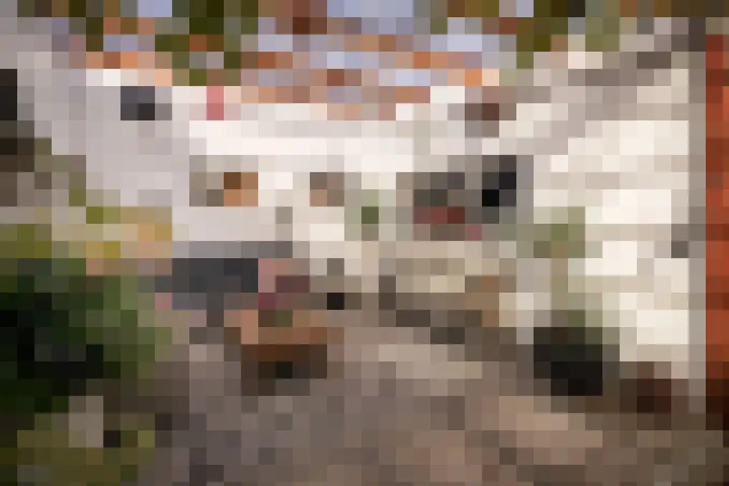 Streekweg 357 Hoogkarspel thumbnail 37