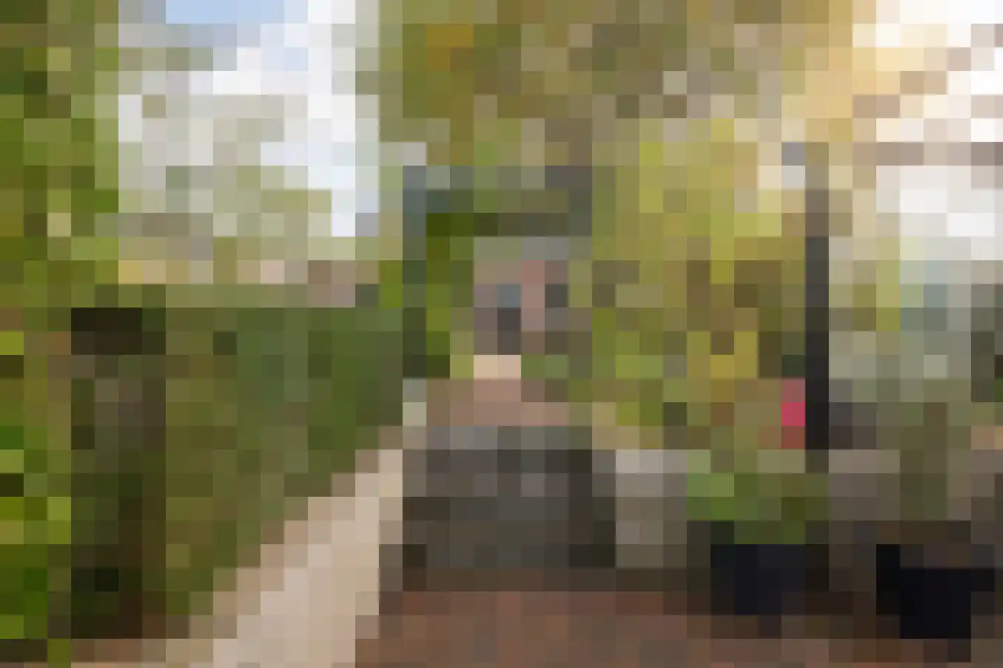 Streekweg 357 Hoogkarspel thumbnail 40