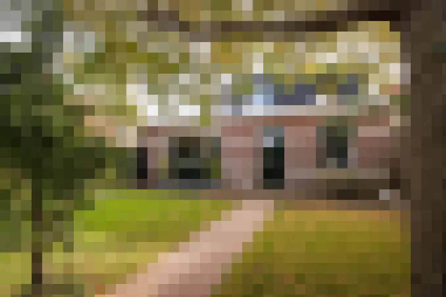 Streekweg 357 Hoogkarspel thumbnail 43