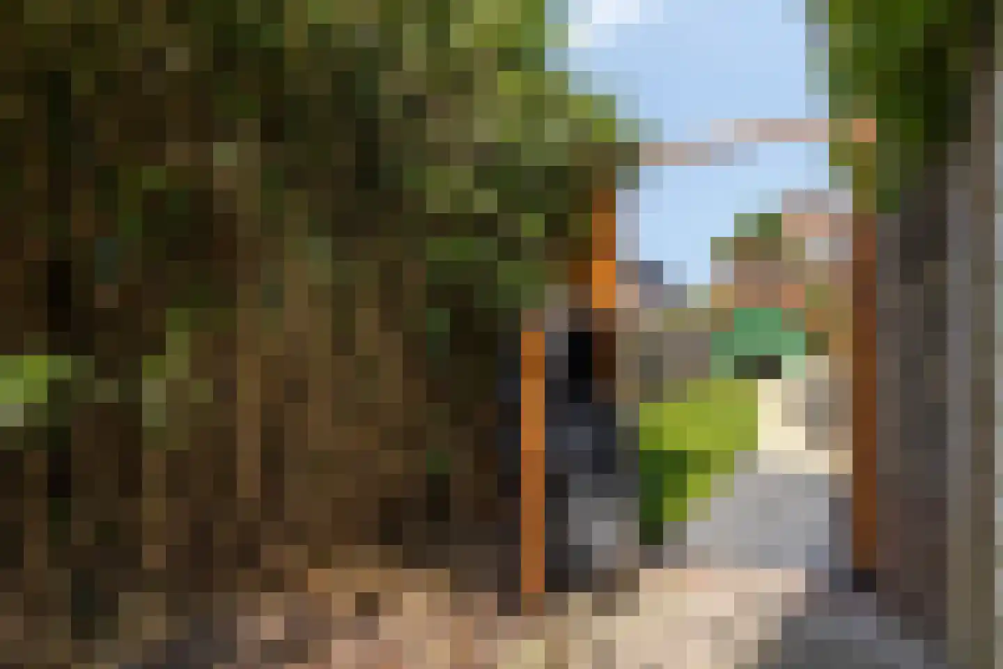 Streekweg 38 Hoogkarspel thumbnail 34