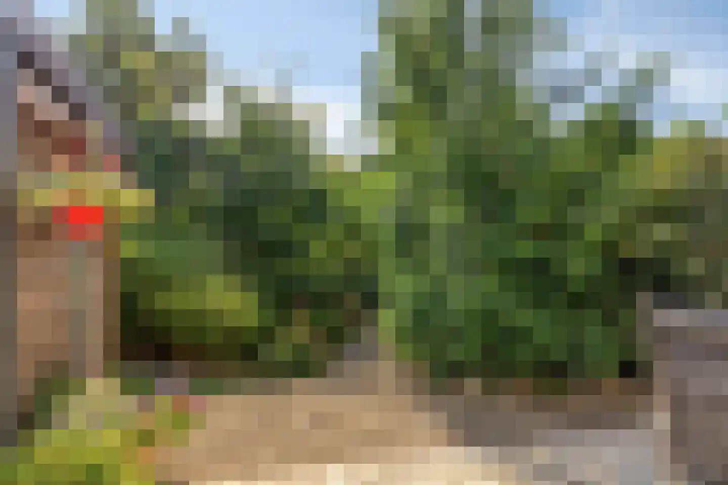 Streekweg 38 Hoogkarspel thumbnail 36