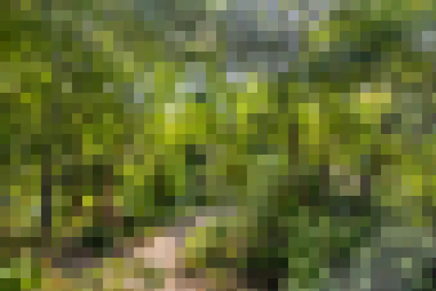 Streekweg 38 Hoogkarspel thumbnail 38