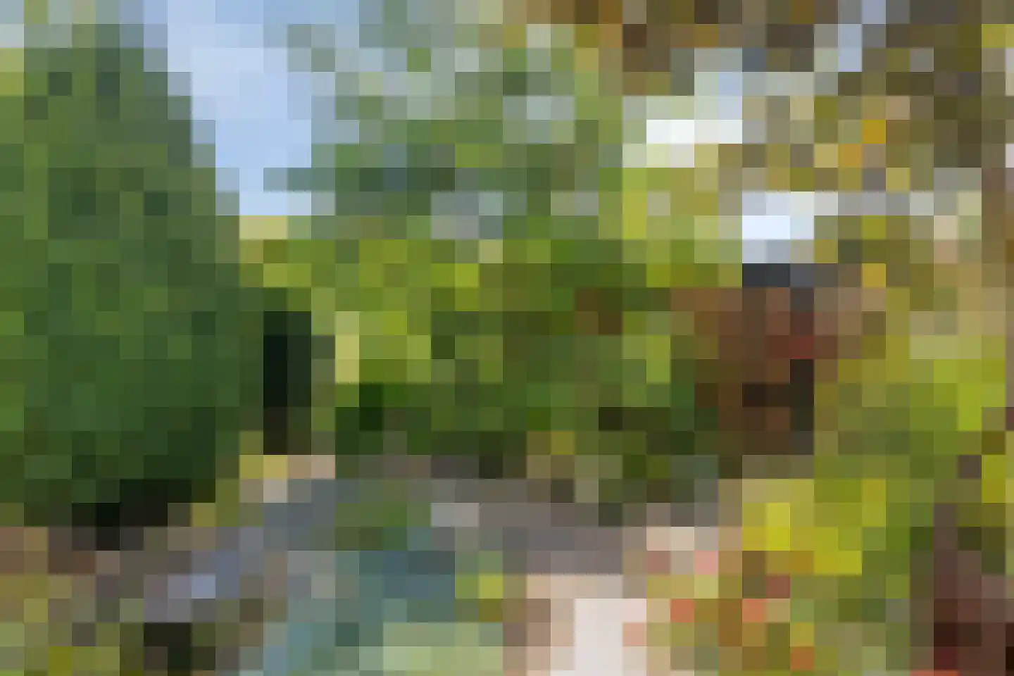 Streekweg 38 Hoogkarspel thumbnail 40