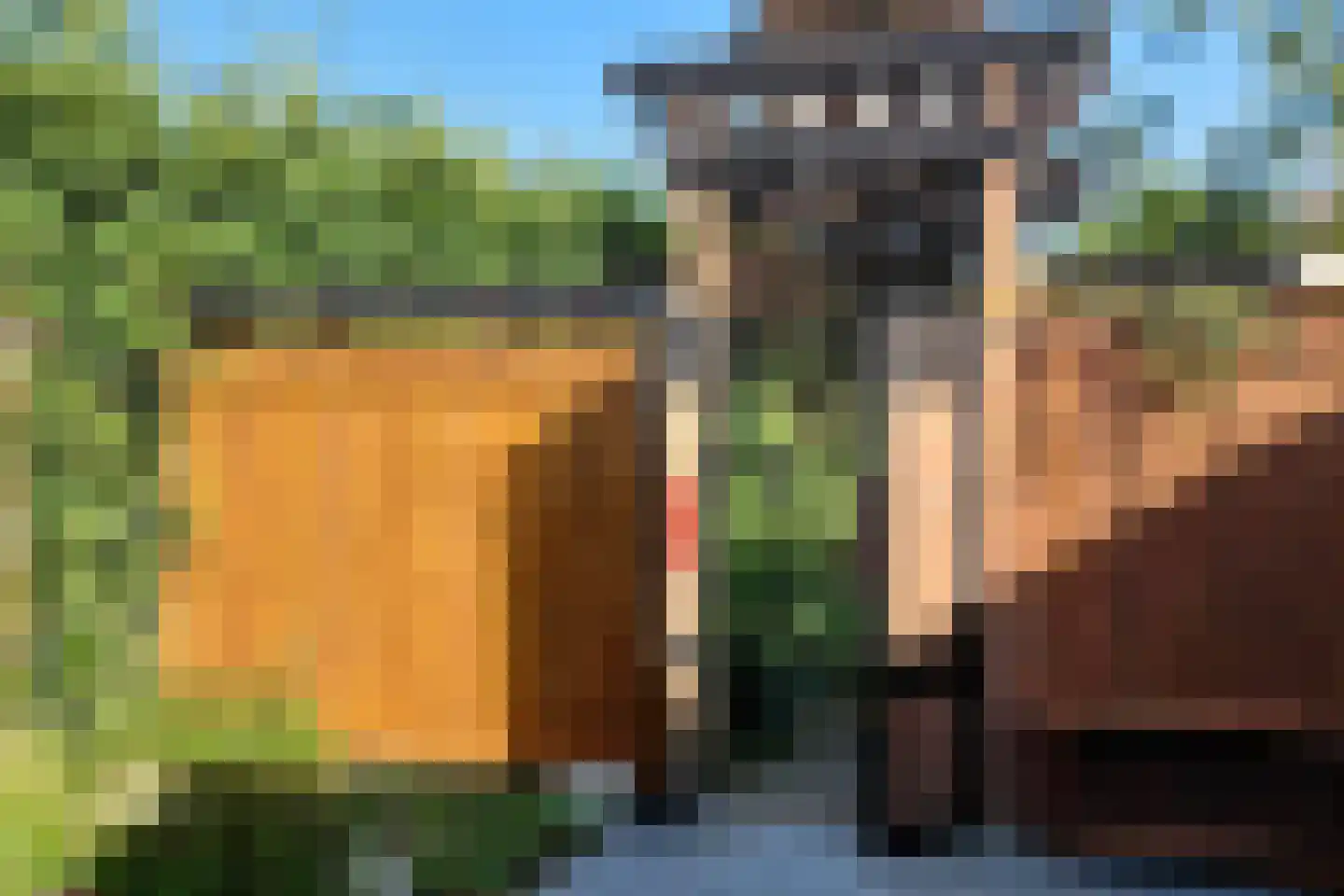 Streekweg 38 Hoogkarspel thumbnail 44