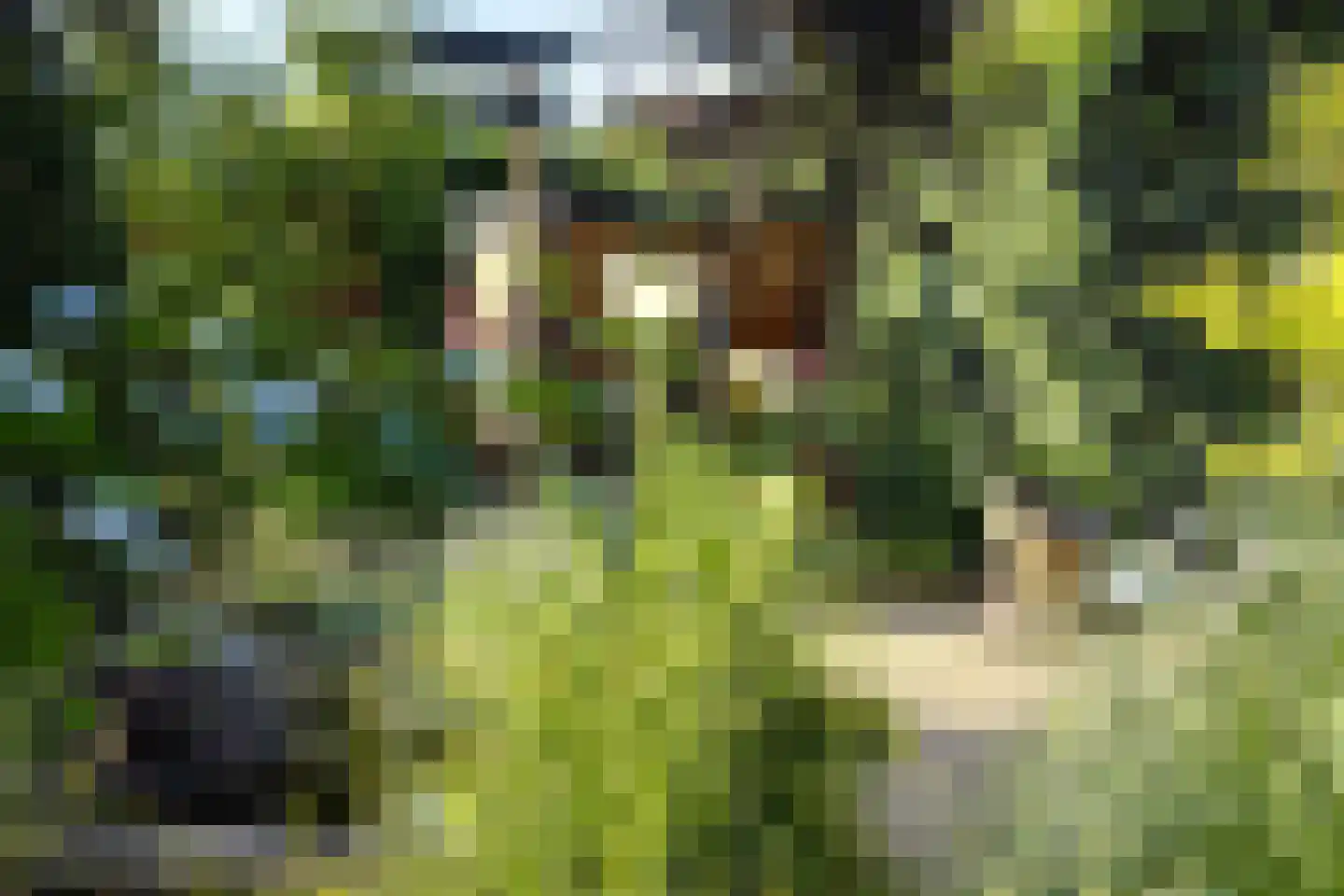 Streekweg 38 Hoogkarspel thumbnail 45