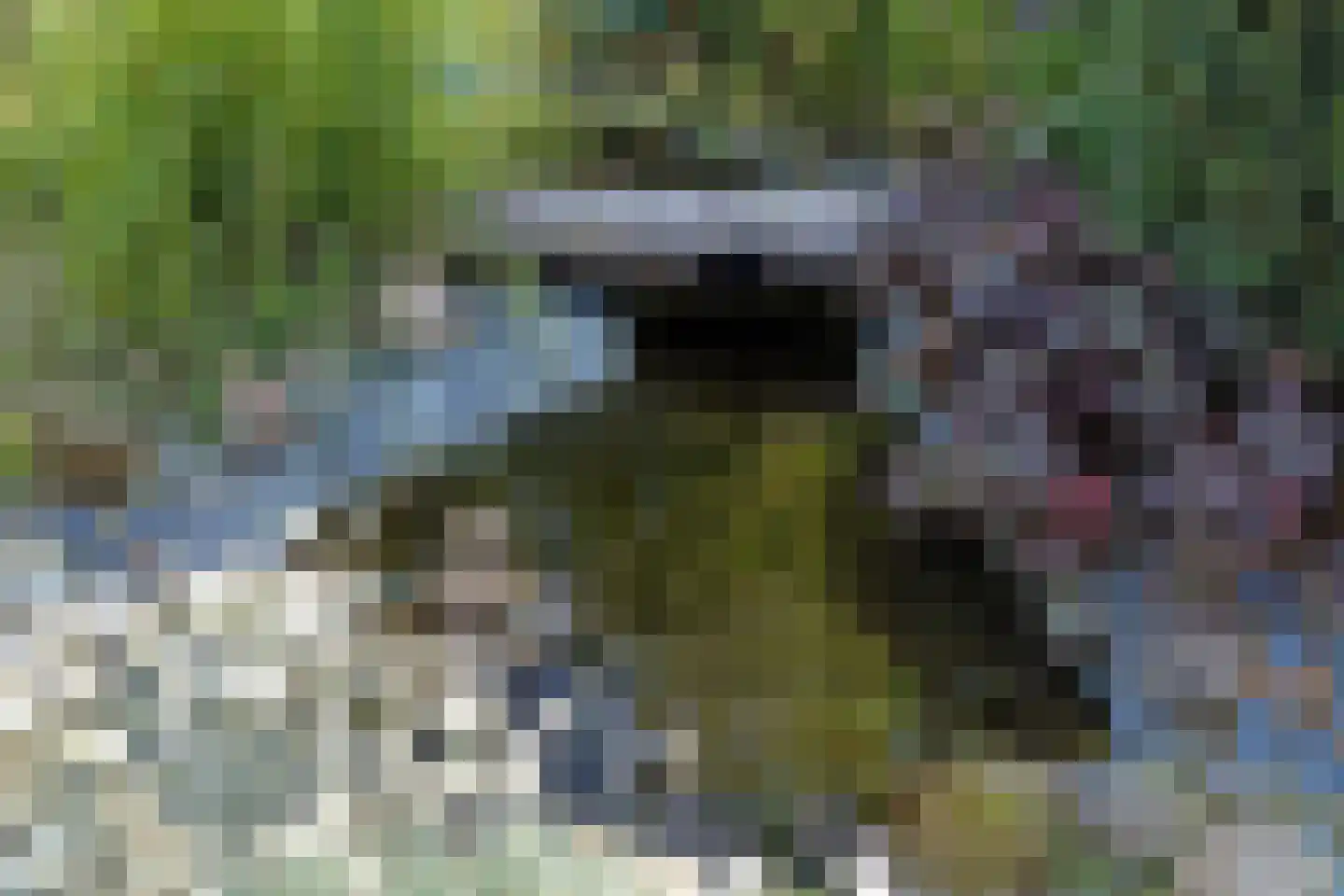 Streekweg 38 Hoogkarspel thumbnail 47