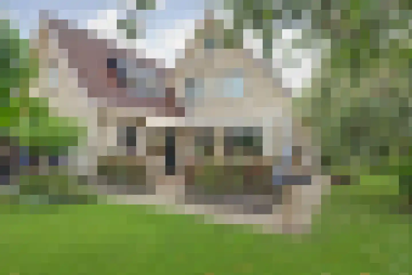 Streekweg 383 Hoogkarspel thumbnail 5
