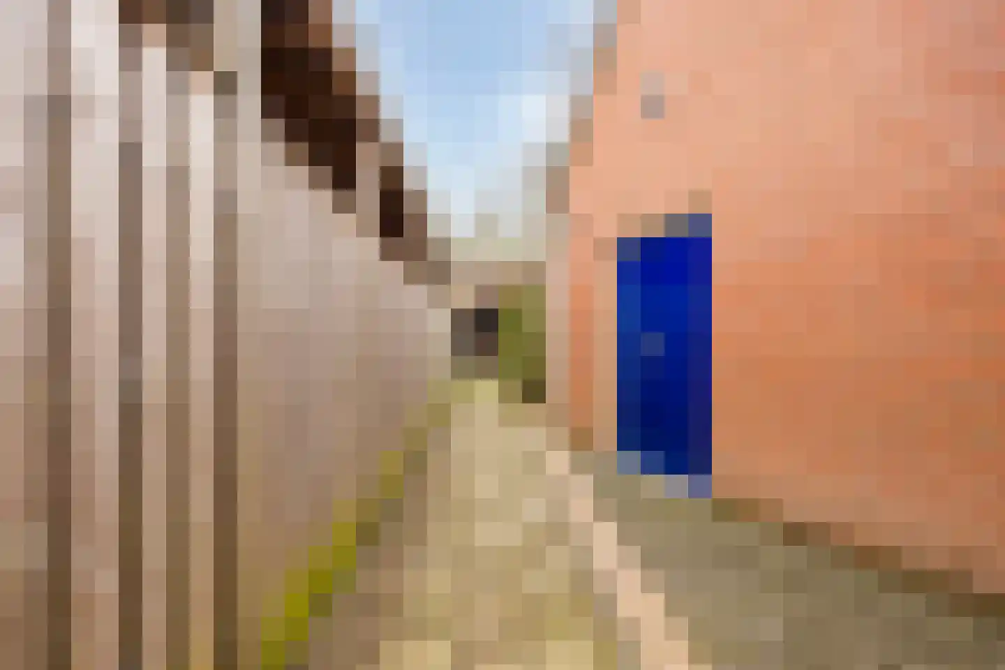 Streepenstraat 55 Sint-Oedenrode thumbnail 40