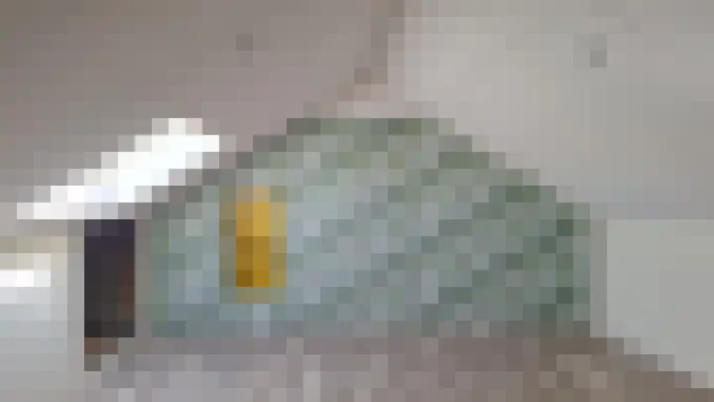Streijenhagen 12 Rotterdam thumbnail 16
