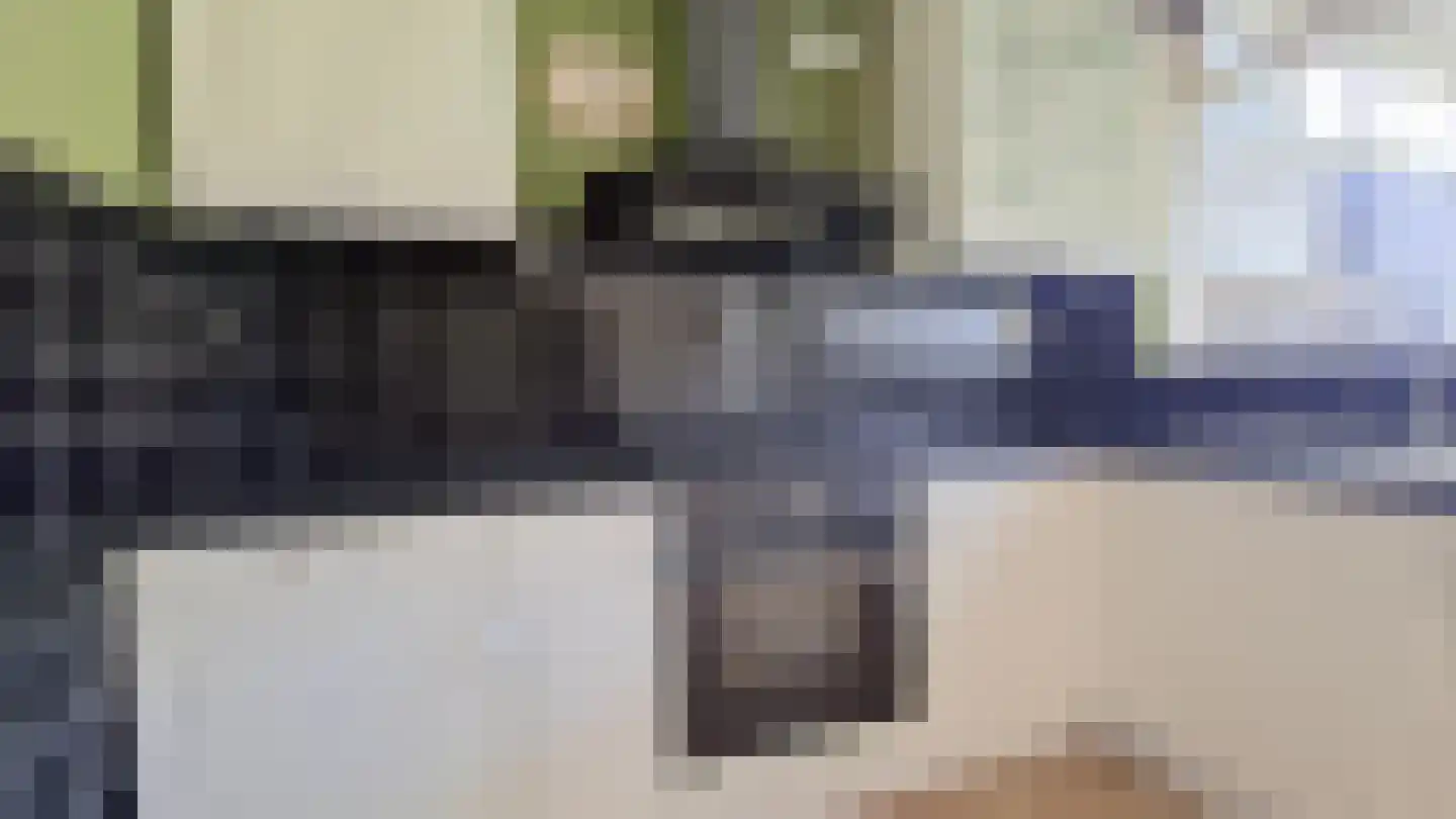 Streijenhagen 12 Rotterdam thumbnail 6