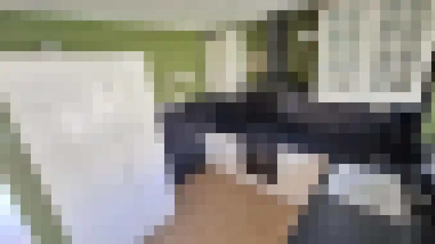 Streijenhagen 12 Rotterdam thumbnail 7