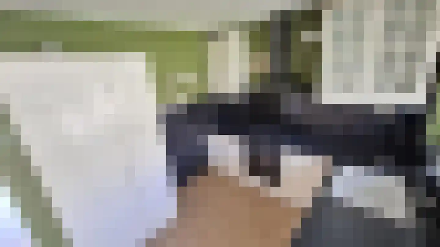 Streijenhagen 12 Rotterdam thumbnail 7