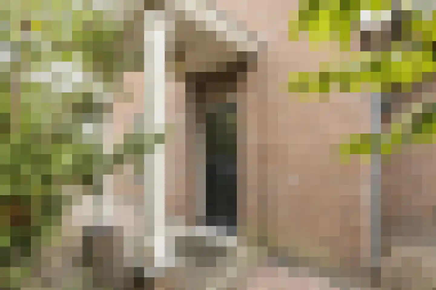 Streilerweg 16 Wilp thumbnail 33