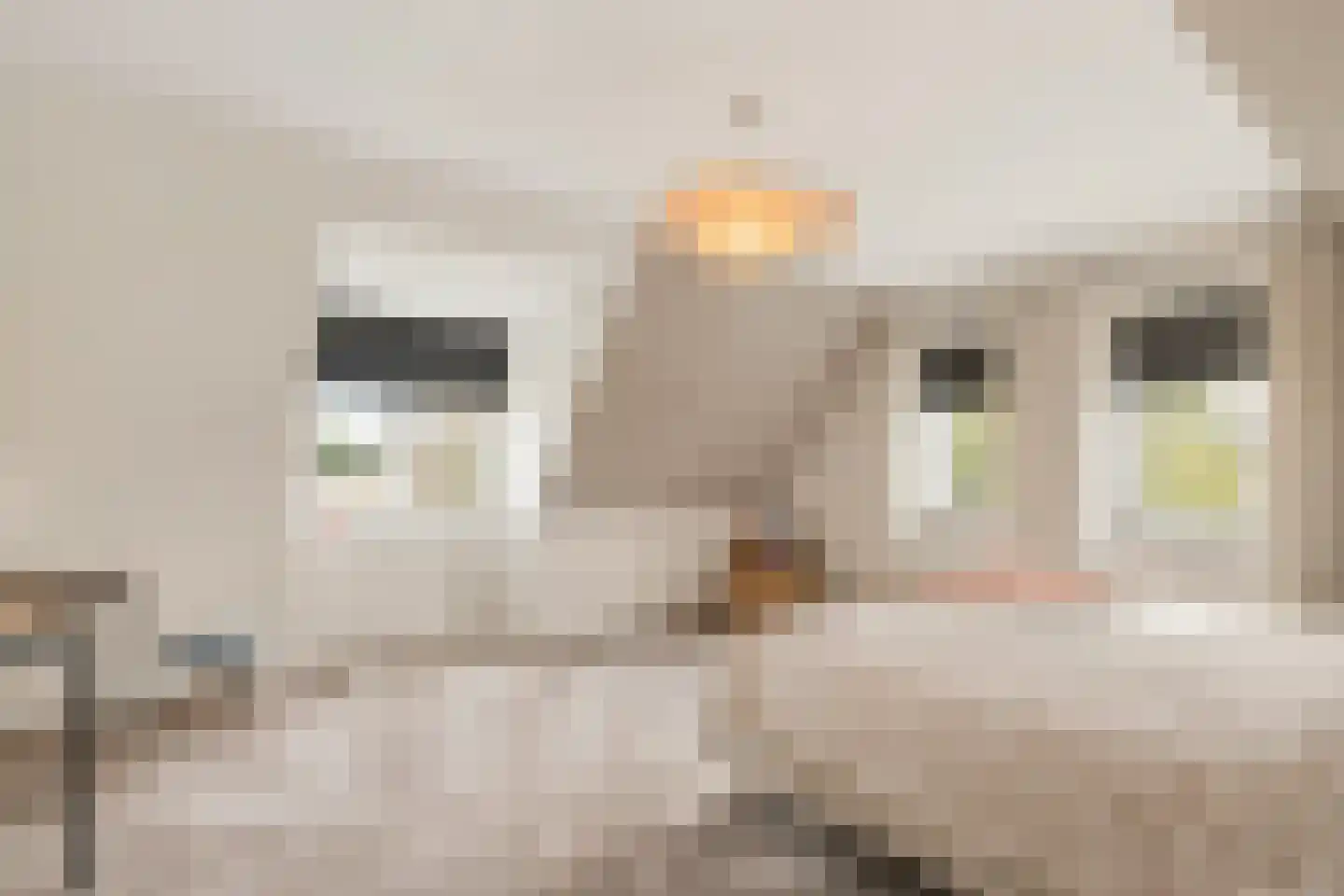 Streilerweg 16 Wilp thumbnail 38