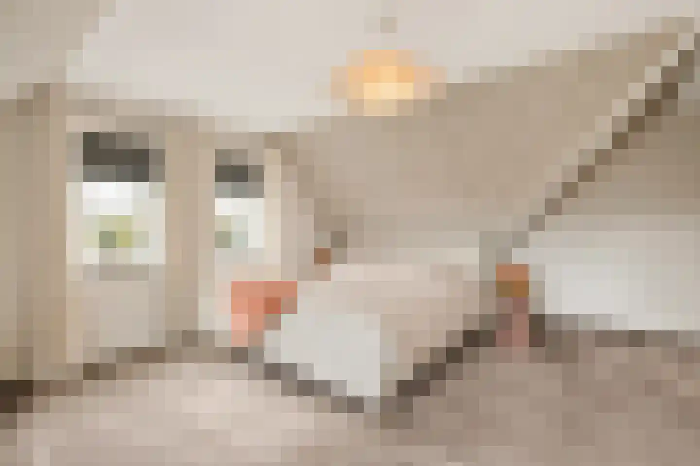 Streilerweg 16 Wilp thumbnail 39