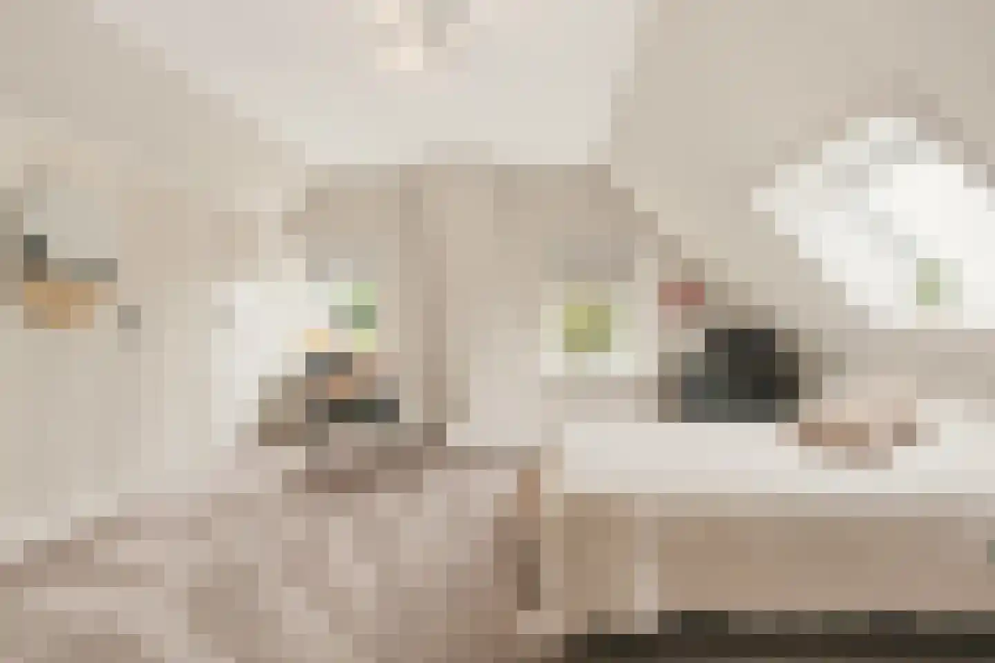 Streilerweg 16 Wilp thumbnail 41