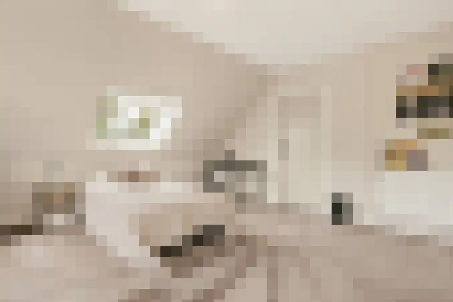 Streilerweg 16 Wilp thumbnail 43