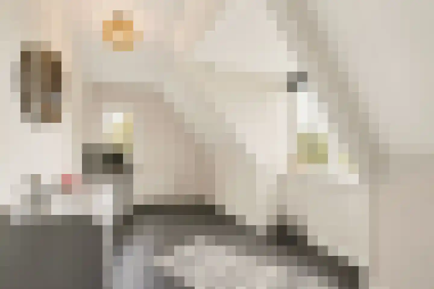 Streilerweg 16 Wilp thumbnail 44