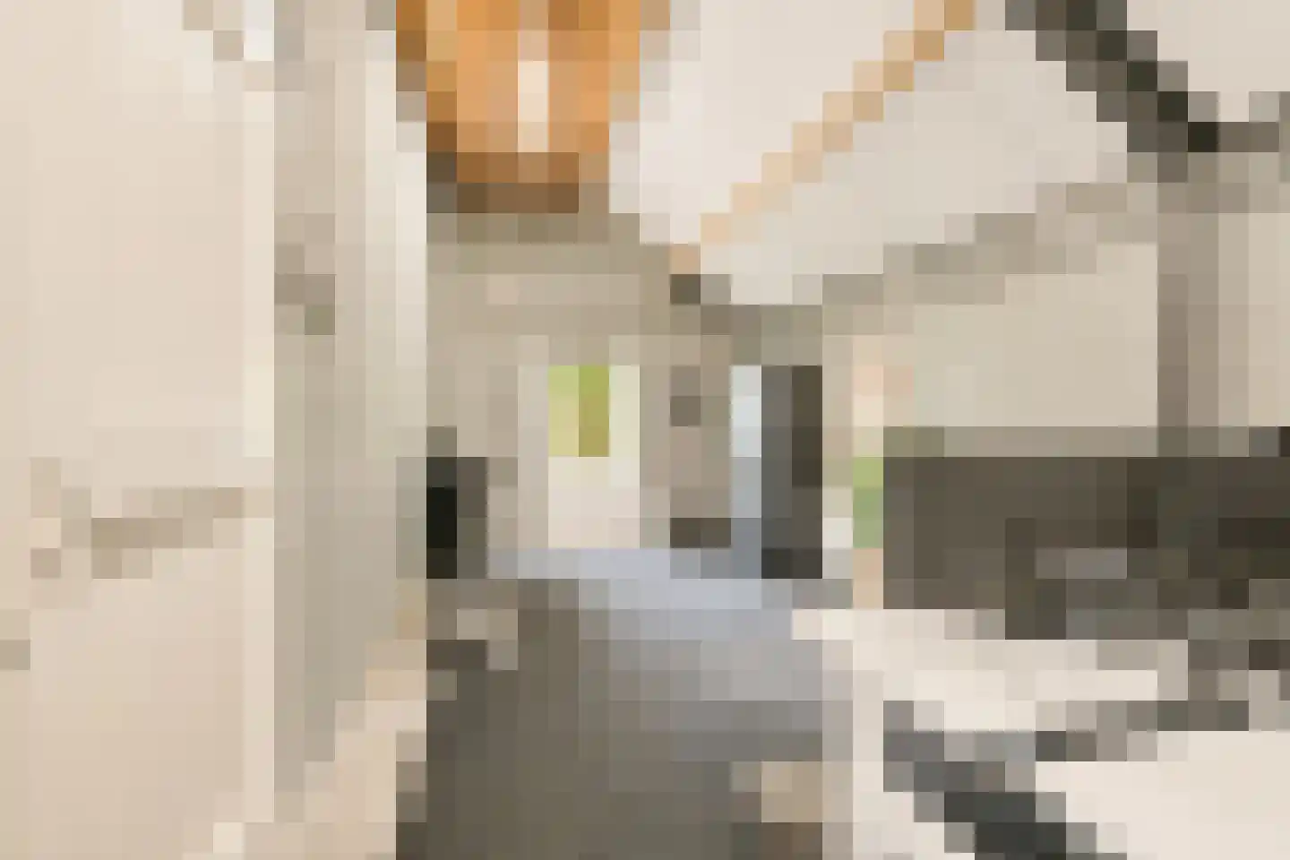 Streilerweg 16 Wilp thumbnail 61