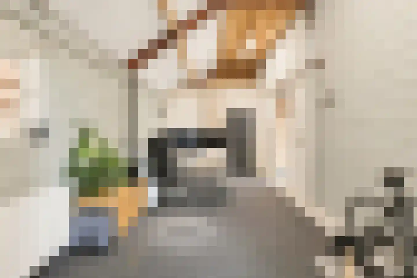 Streilerweg 16 Wilp thumbnail 62