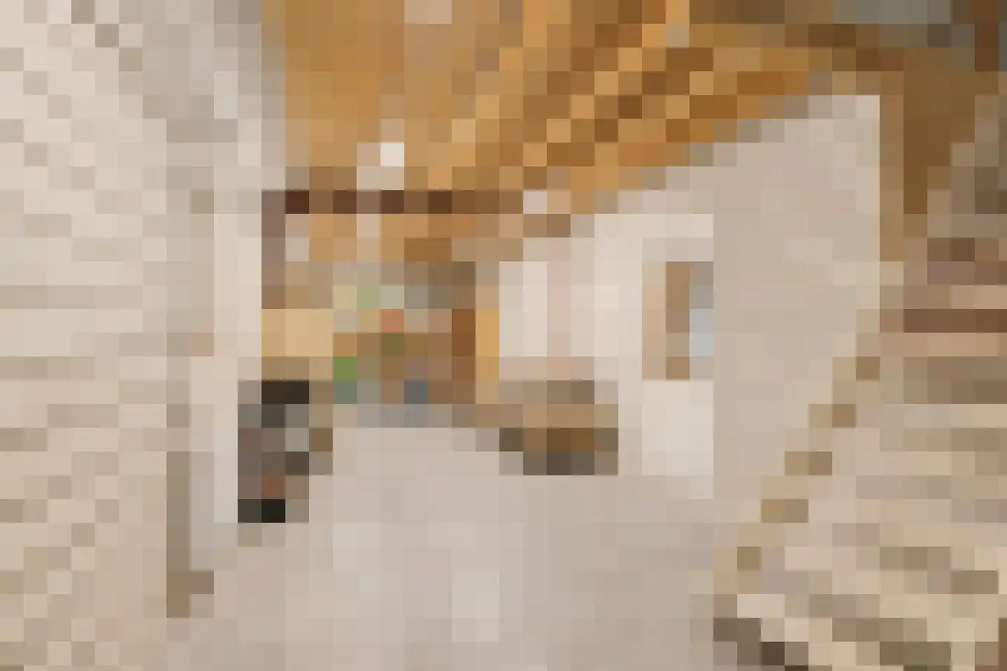 Streilerweg 16 Wilp thumbnail 63