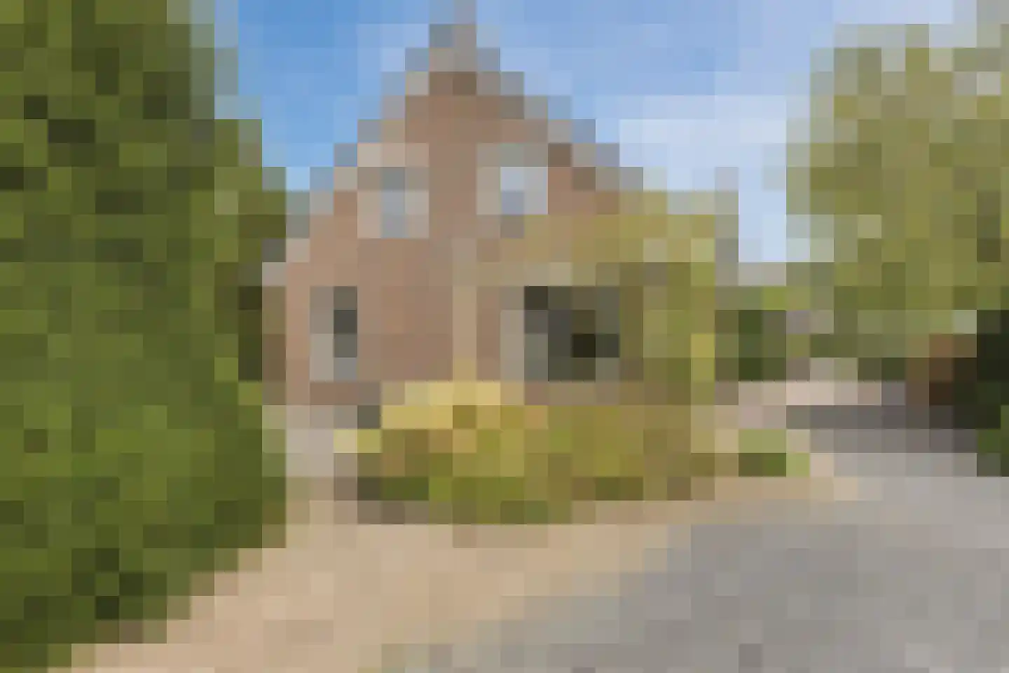 Streilerweg 16 Wilp thumbnail 67