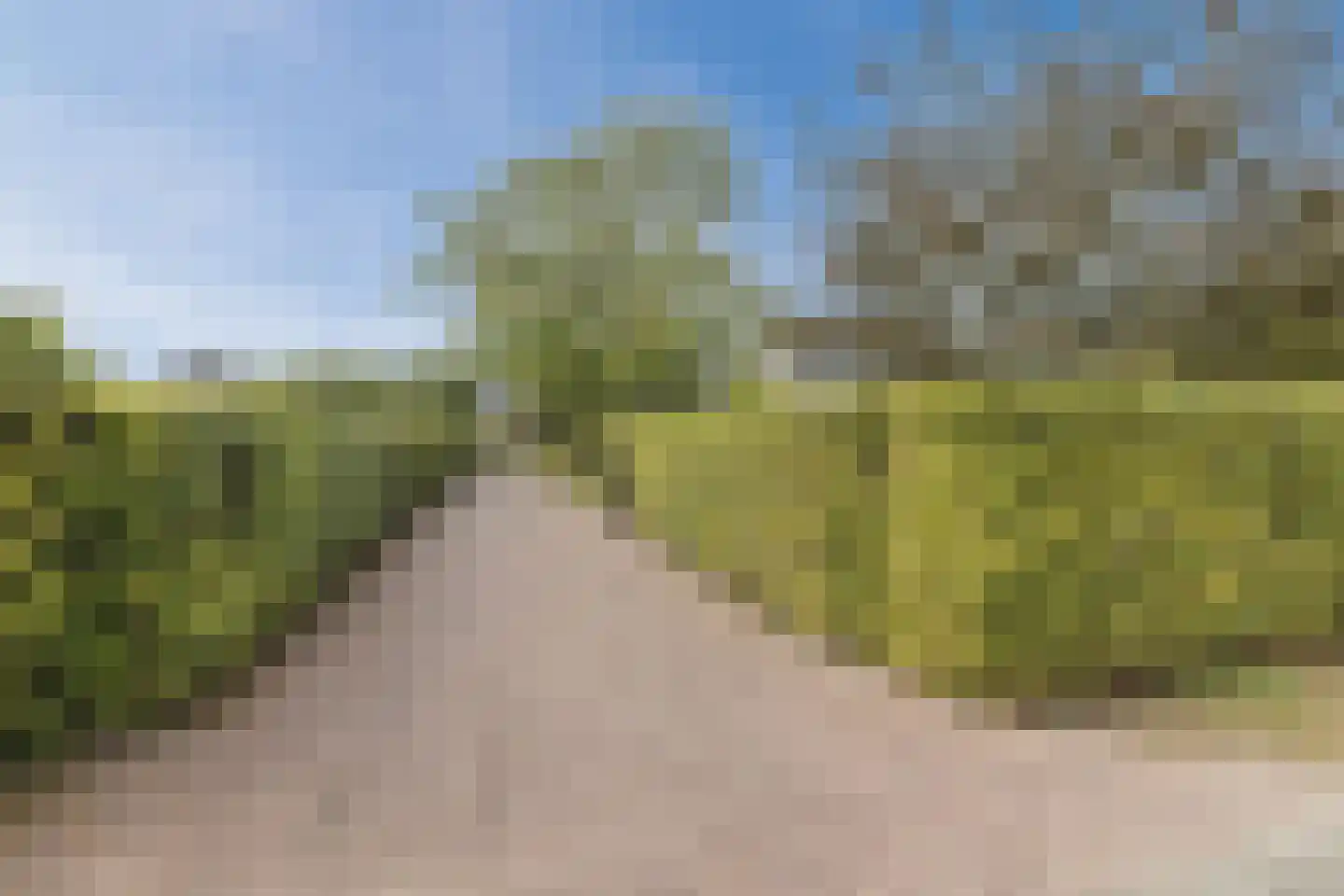 Streilerweg 16 Wilp thumbnail 75