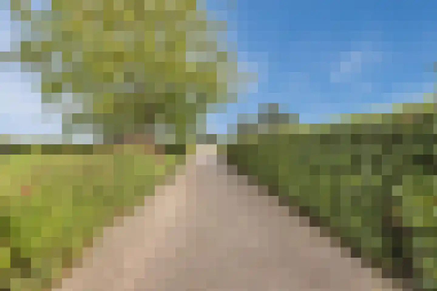 Streilerweg 16 Wilp thumbnail 77