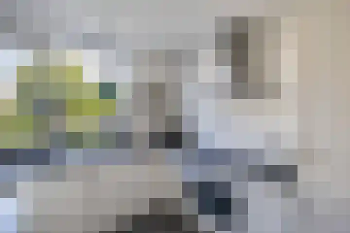 Strekdam 10 Huizen thumbnail 10