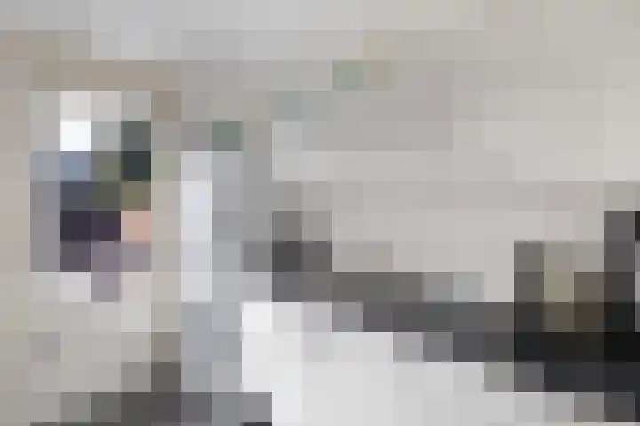 Strekdam 10 Huizen thumbnail 11