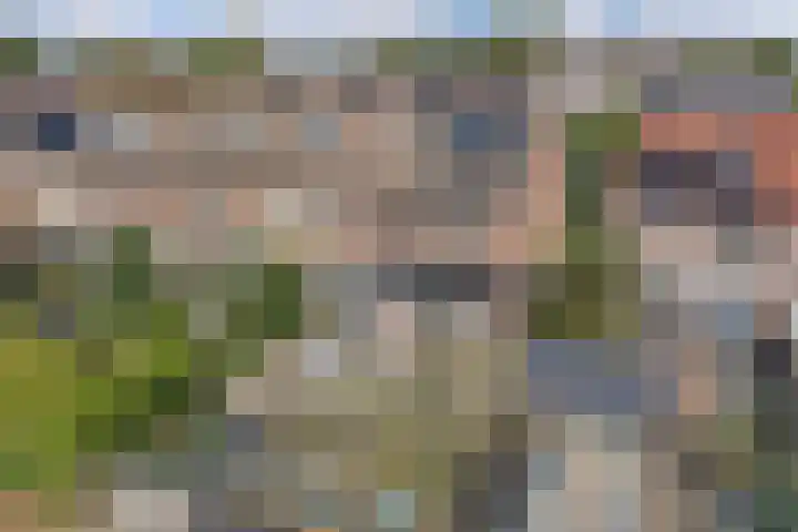 Strekdam 10 Huizen thumbnail 15