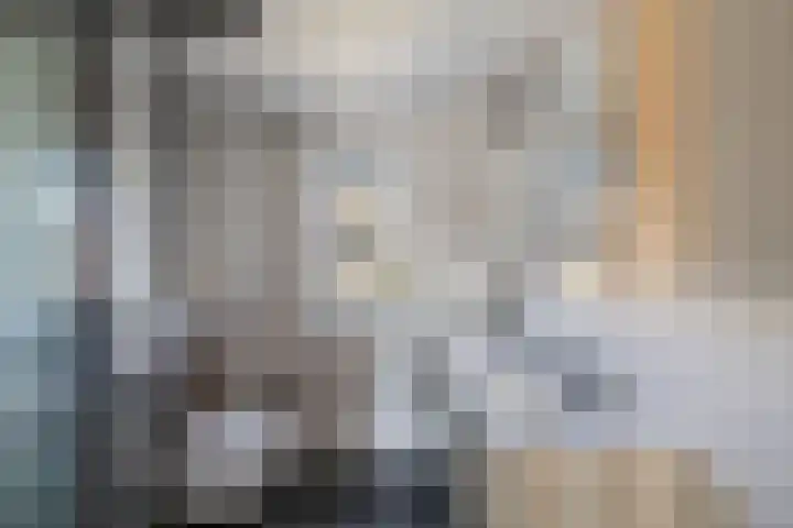 Strekdam 10 Huizen thumbnail 20