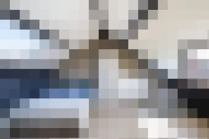 Strekdam 10 Huizen thumbnail 22