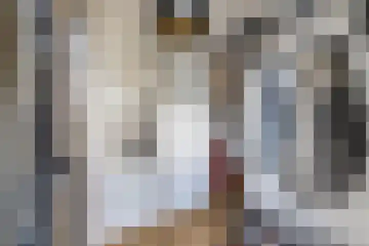Strekdam 10 Huizen thumbnail 5