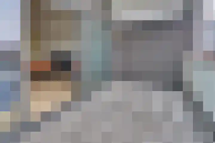 Strekdam 60 Harderwijk thumbnail 12